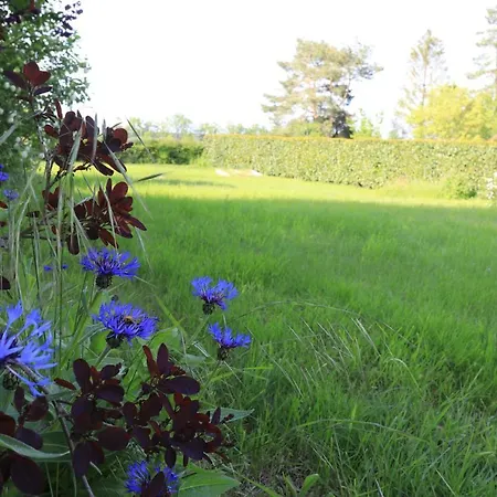 Les Iris - * Sohier